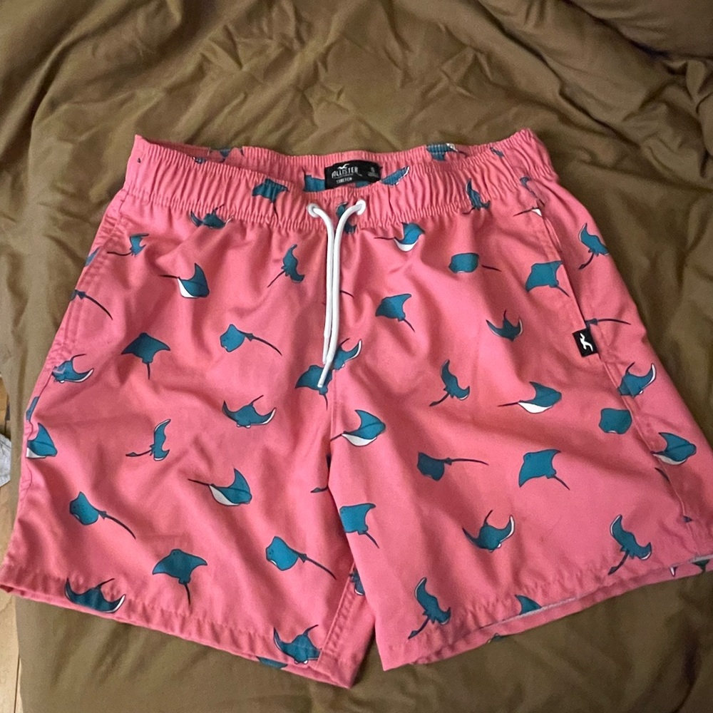 Hollister Mens Bathing suit size Sm.